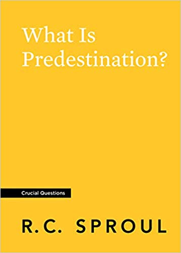 What is Predestination (Crucial Questions)