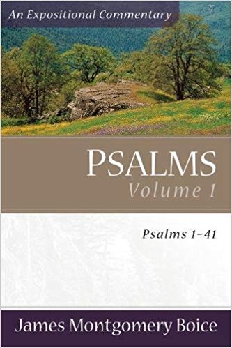 Psalms Vol 1 (1-41)