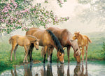 Puzzle Tray: Watering Hole - 35 Piece
