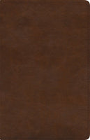 ESV Spanish/ English Parallel Bible -ESV/RVR