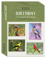 Boxed Cards Birthday