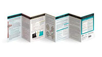 The Plan of Salvation - Fold Out Pamphlet