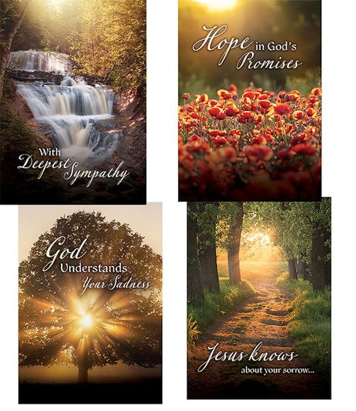 Boxed Cards Sympathy