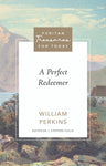 A Perfect Redeemer - Puritan Treasures for today