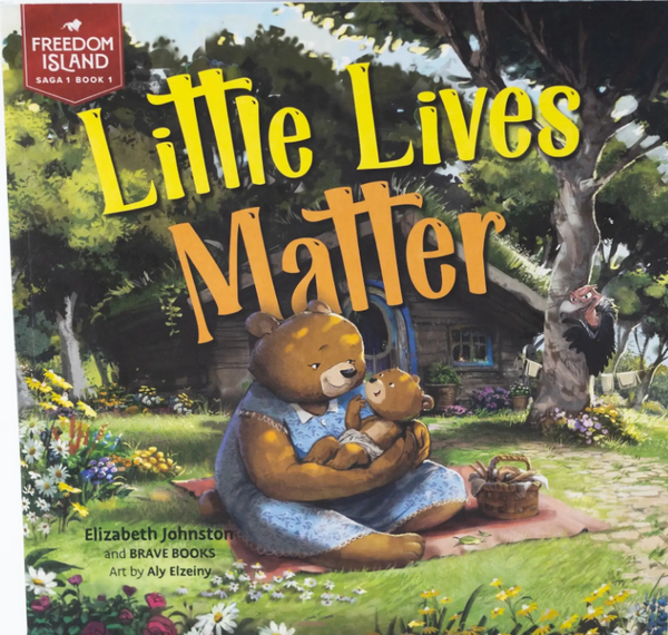 Little Lives Matter : A children's book about sanctity of life