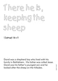 The Story of David  (Bible Color and Learn - 9)