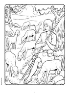 The Story of David  (Bible Color and Learn - 9)