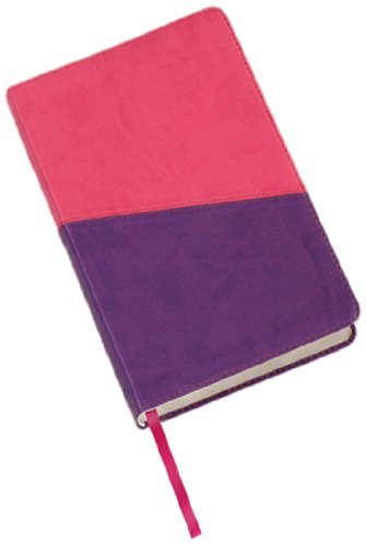 Holy Bible: King James Version, Violet/pink, Imitation Leather, Kids Study Bible