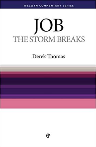 Job The Storm Breaks (Welwyn Commentary Series)