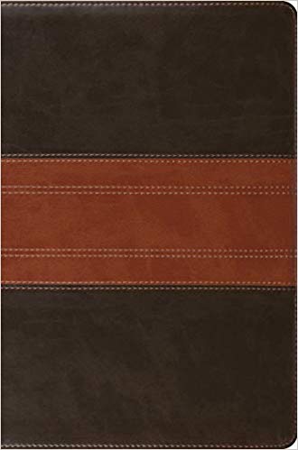 ESV Compact Bible Imitation Leather Forest/Tan Trail