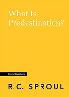 What is Predestination (Crucial Questions)