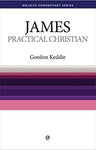 James The Practical Christian (Welwyn Commentary Series)