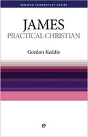 James The Practical Christian (Welwyn Commentary Series)