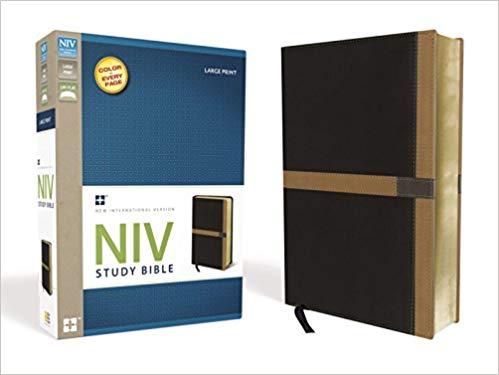 NIV Study Bible Large Print Imitation Leather Black/Camel