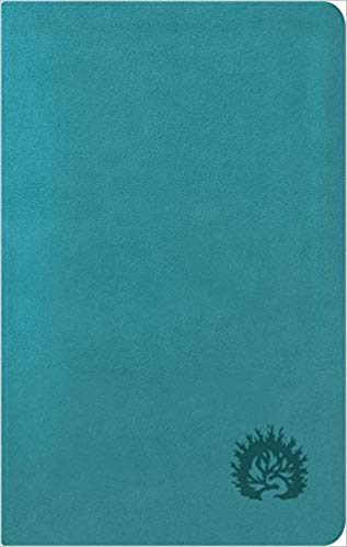 ESV Reformation Study Bible Condensed Edition - Turquoise, Leather-Like