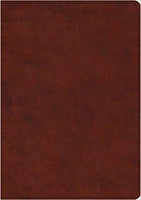 ESV Study Bible TruTone®, Chestnut