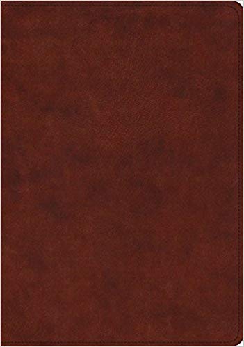 ESV Study Bible TruTone®, Chestnut