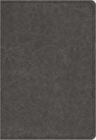 ESV Student Study Bible Trutone Gray Imitation Leather