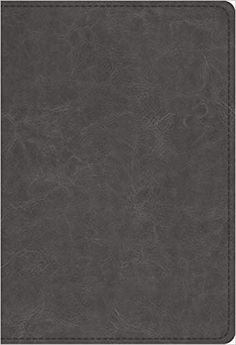 ESV Student Study Bible Trutone Gray Imitation Leather