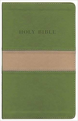 KJV Personal Size Giant Print Reference Bible