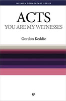 Acts - You Are My Witnesses (Welwyn Commentary Series)