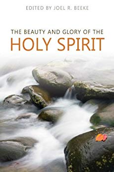 Beauty and Glory of the Holy Spirit  (Hardcover)