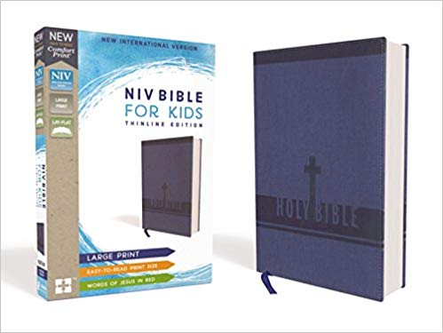 NIV Bible for Kids Imitation Leather Thinline Blue Large Print