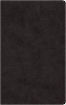 ESV Large Print Value Thinline Bible Truetone Black