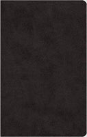 ESV Large Print Value Thinline Bible Truetone Black