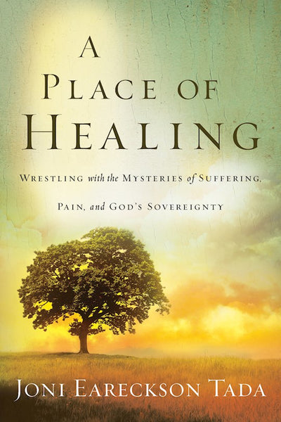 Place of Healing - Paperback