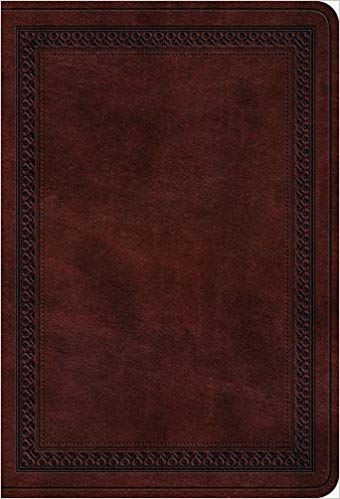 ESV Large Print Compact Bible Trutone Mahogany Border Imitation Leather