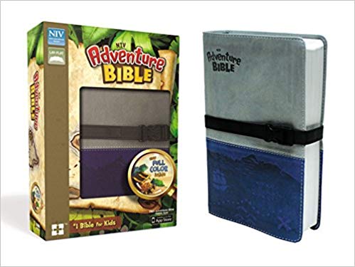 NIV Adventure Bible Imitation Leather Gray/Blue