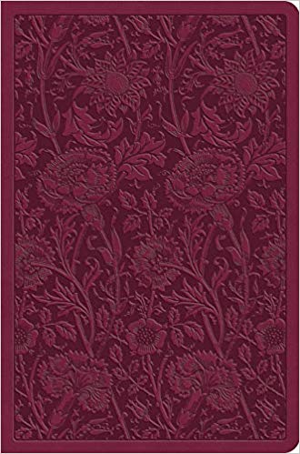 ESV Value Compact Bible Trutone Raspberry, Floral Design