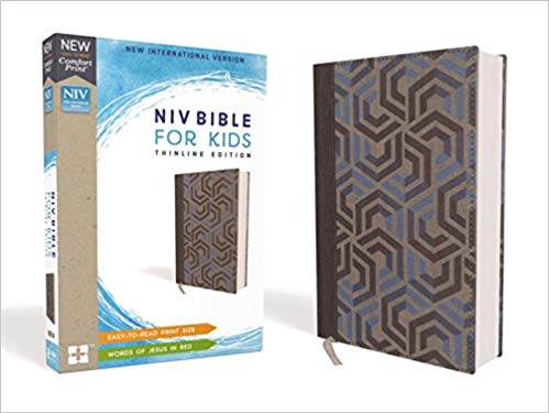NIV Bible for Kids Thinline Hardcover