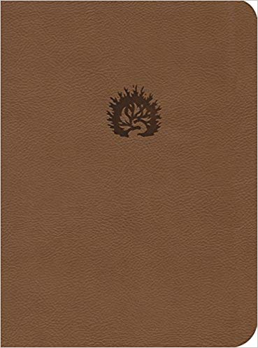 ESV Reformation Study Bible Imitation Leather Light Brown