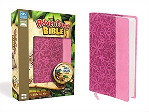 NIV Adventure Bible Imitation Leather Pink