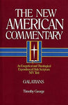 Galatians: New American Commentary