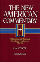 Galatians: New American Commentary