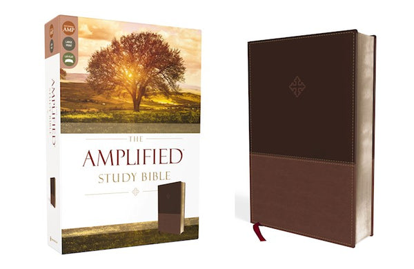 Amplified Study Bible Brown Leathersoft