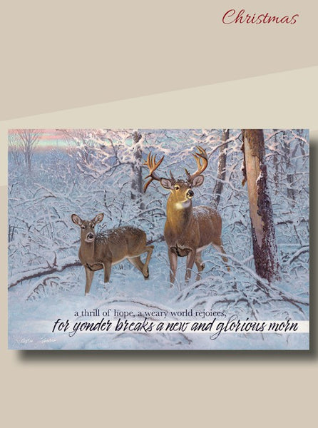 Boxed Christmas Cards -Whitetail Deer w/Scripture  (Box Of 12)
