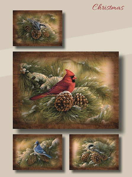 Boxed Christmas Cards -Winter Birds w/Scripture  (Box Of 12)