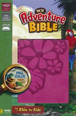 NKJV Adventure Bible (Full Color)-Raspberry DuoTone