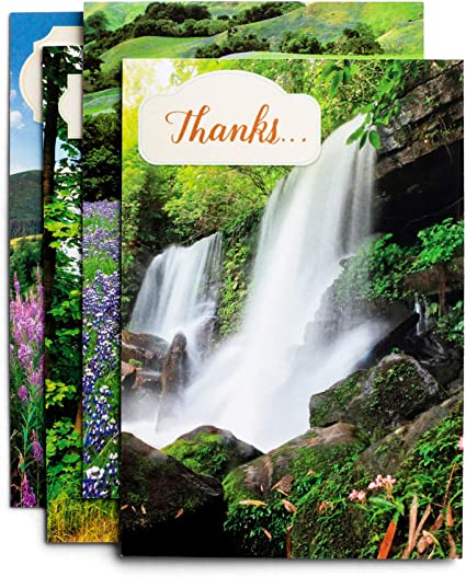 Day Spring Thank You cards Landscape