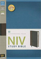 NIV Study Bible