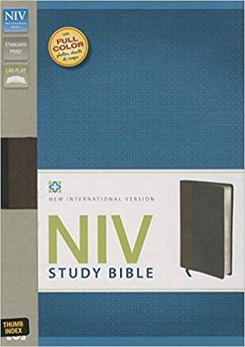 NIV Study Bible