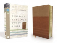 NIV Biblical Theology Study Bible