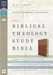 NIV Biblical Theology Study Bible