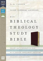 NIV Biblical Theology Study Bible