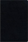 NIV Biblical Theology Study Bible