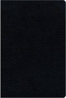 NIV Biblical Theology Study Bible
